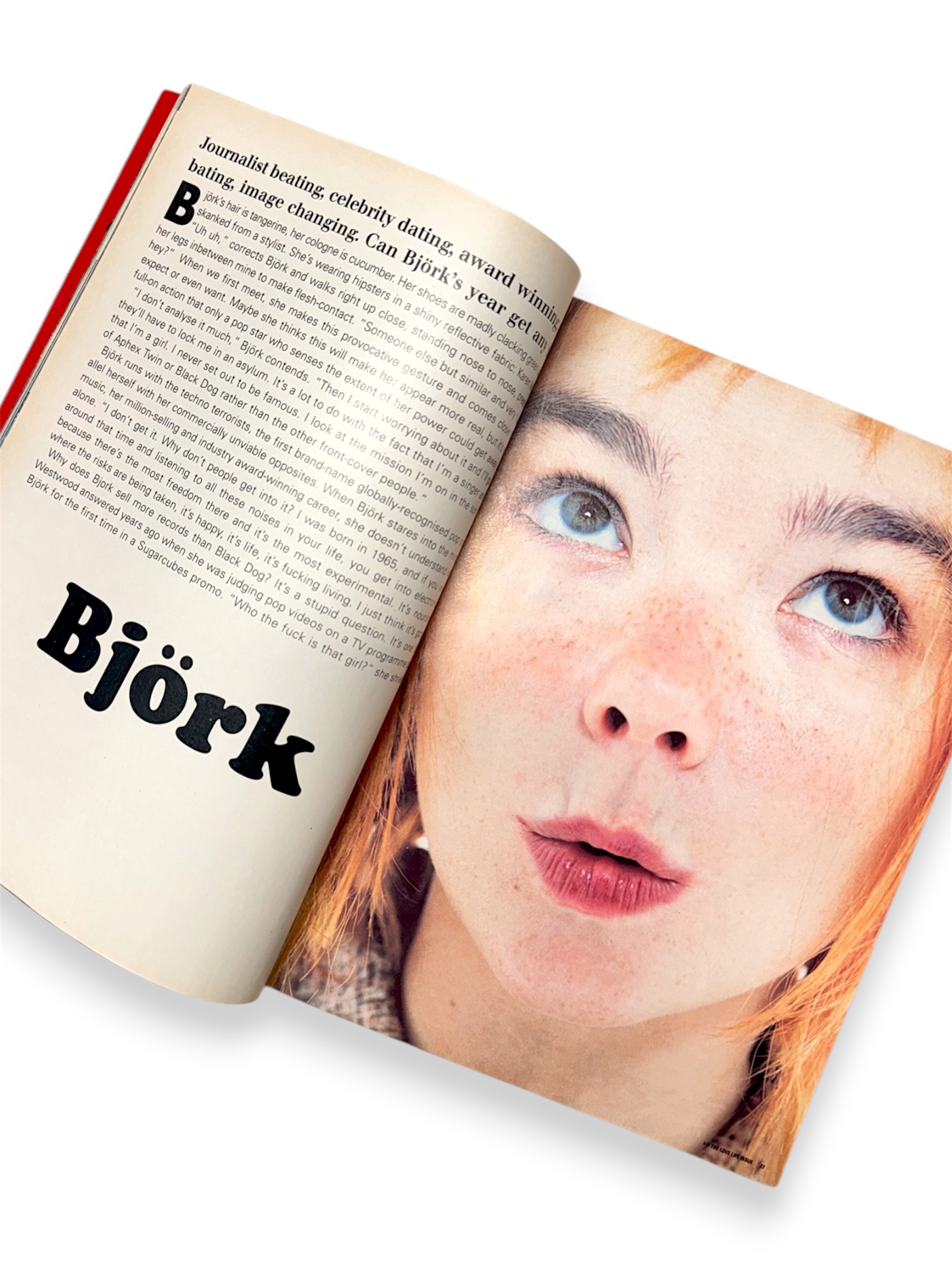 i-D Magazine LOVE BITES BJÖRK & GOLDIE 1996 - Image 2